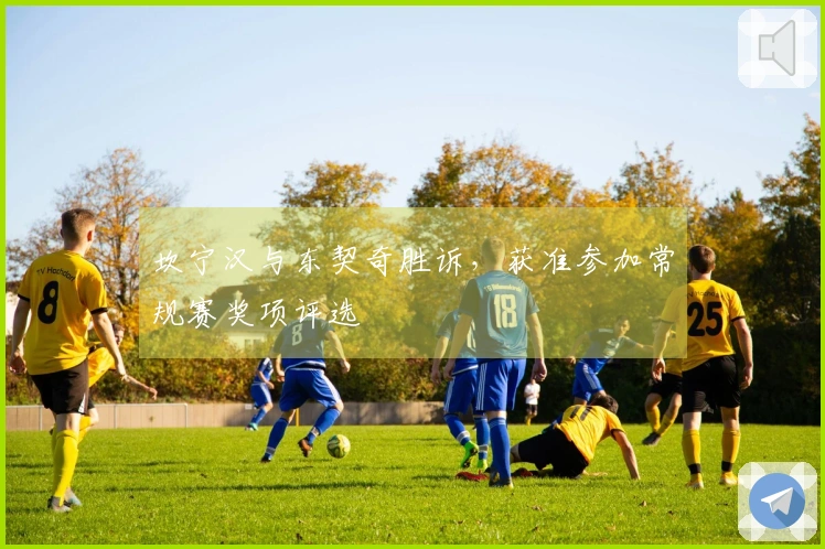 坎宁汉与东契奇胜诉，获准参加常规赛奖项评选