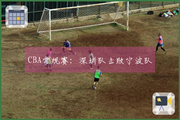 CBA常规赛：深圳队击败宁波队